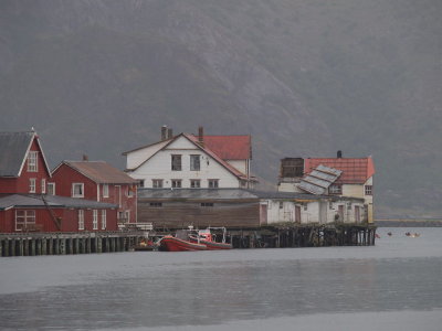 P8016203.jpg
