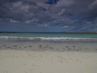 P8026643.jpg
