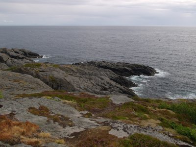 P8026667.jpg