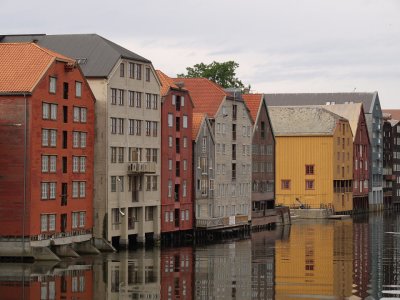 P8057646.jpg