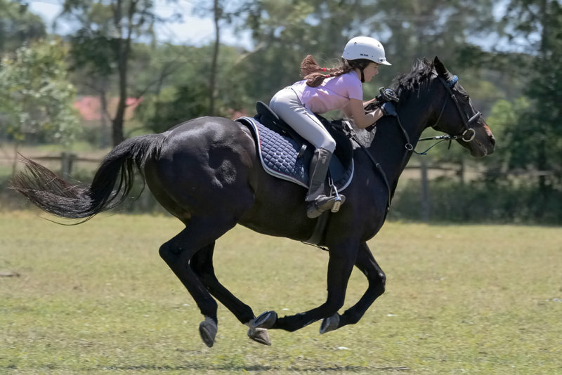 Galloping Sam