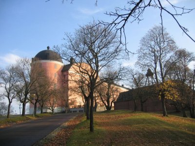 Uppsala: The castle