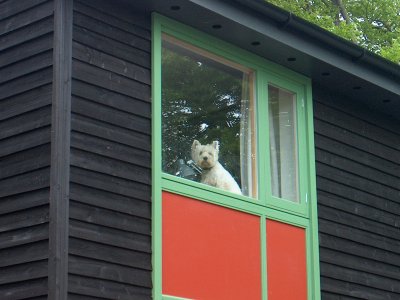 Robert's study window