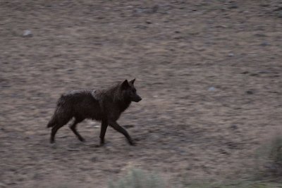 g6/30/668030/3/77796246.oJfYwu3R.jpg