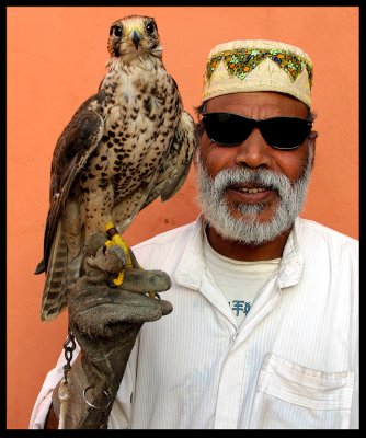 Man with Falcon - Marrakech Morocco 2002
