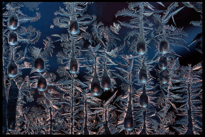 Ice on my window - Växjö Sweden 2002