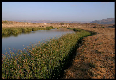 Khawr Rawri  near Salalah