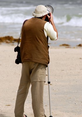 Wader Photography in Kuwait  (Photo by Johan Sandstrom)