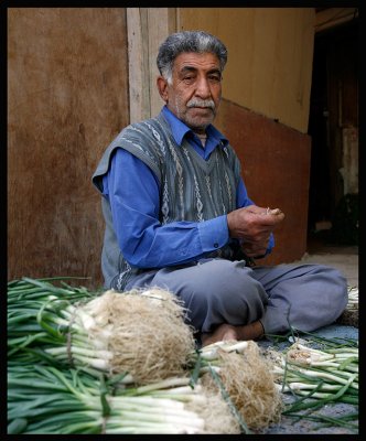 Farm worker - Al Jahra