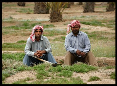 Abdali Farm workers