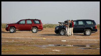 High tide birdwatching at Jahra East outfall