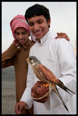 Young boys often start falconry with Kestrels