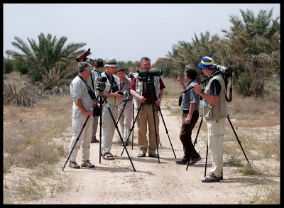 George showing Common Babblers near Abdali Farms