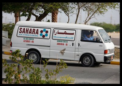 In case you think it`s to cold you can call the Sahara team