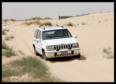 Stuck in the sands of Sulaibiya