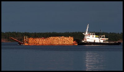 Timber transport on Baltic Sea - Oxlsund 2005