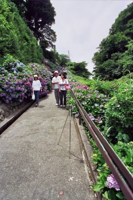 A day in Kamakura