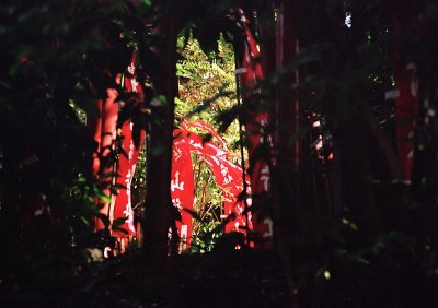 A day in Kamakura