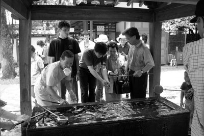 A day in Kamakura