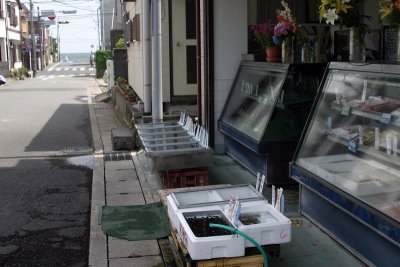 A day in Kamakura