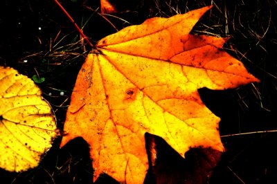 DSC_6555_edited-1.jpg