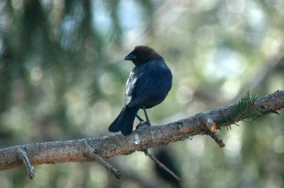DSC_1882A.JPG