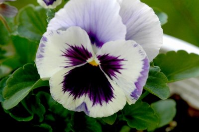 DSC_2923_edited-1.jpg