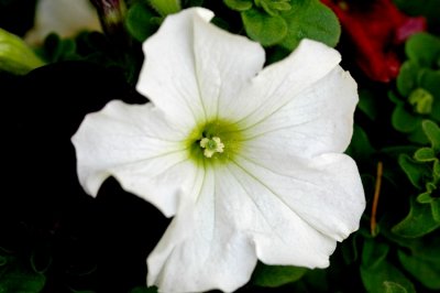 DSC_2984_edited-1.jpg