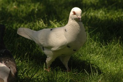 DSC_3803.JPG