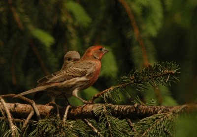 DSC_1852_edited-1.jpg