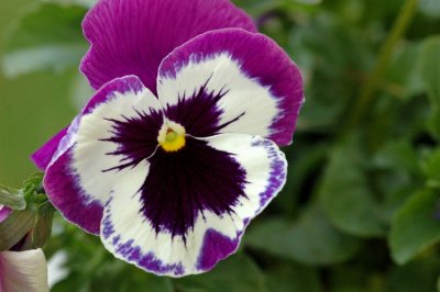 DSC_2919_edited-1.jpg