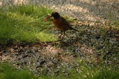 DSC_4559.JPG
