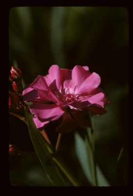 Image9.jpg