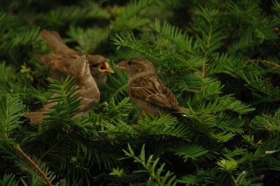 DSC_6736.JPG
