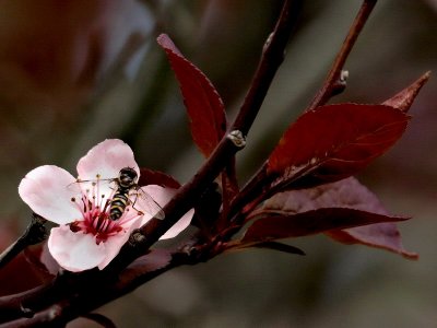 Passage to spring