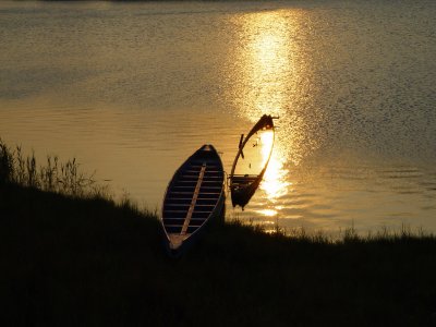 Old Dragon Boats