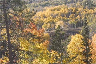 Fall colors 05