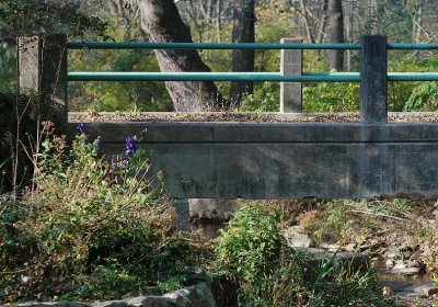 Beidleman Road Bridge