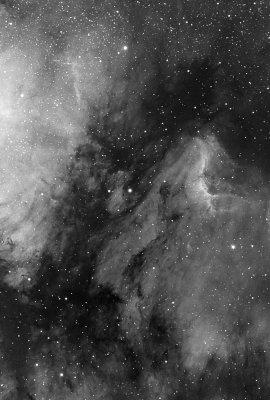IC 5070 - Pelican Nebula