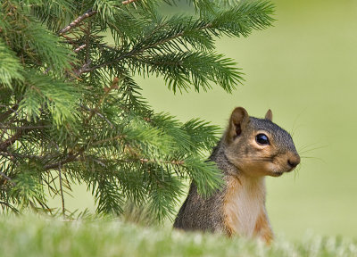 Are those sunflower seeds?