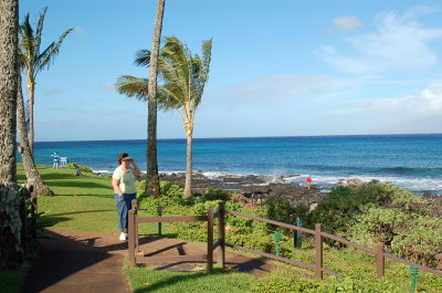 Beach south of hotel