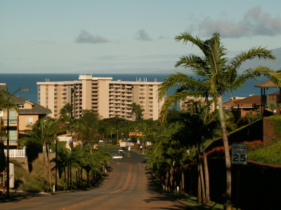 Maui Feb 07