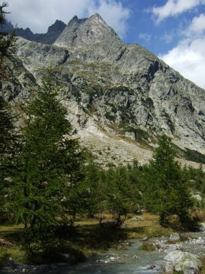 DSCF0521.JPG