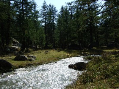 DSCF0529.JPG