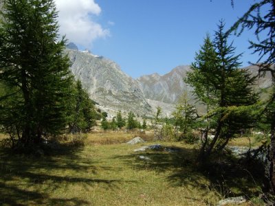 DSCF0530.JPG