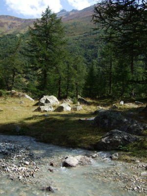 DSCF0531.JPG