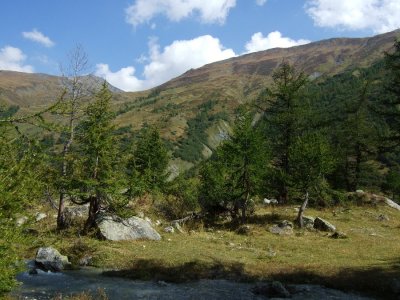DSCF0533.JPG
