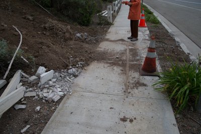 Bulldozer entry from Borchard