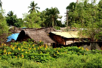 Rural Thiruvananthapuram