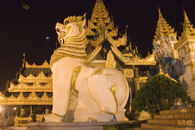 Guardian Lions, at night